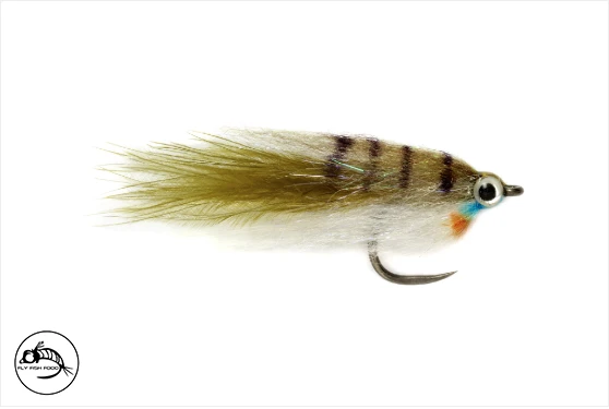 Baby Fat Minnow - Size 8 6 Baby Fat Minnow - Size 8 - Image 4