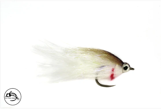 Baby Fat Minnow - Size 8 5 Baby Fat Minnow - Size 8 - Image 3