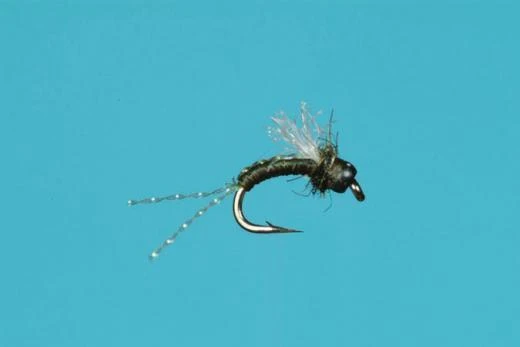 Bead Head Cheeseman Emerger 3 Bead Head Cheeseman Emerger