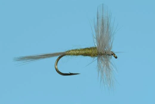 Blue Wing Olive 3 Blue Wing Olive