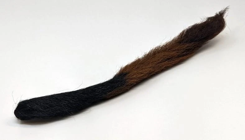 Calf Tail 13 Calf Tail - Image 11