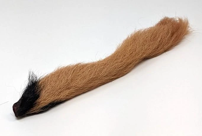 Calf Tail 10 Calf Tail - Image 8