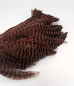 Cascade Crest Hackle Patch #82 Grizzly Brown