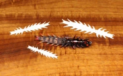 Cohen's Hellgrammite Creature