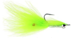 Denbow's Wooly Mantis Shrimp