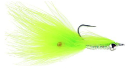 Denbow's Wooly Mantis Shrimp 3 Denbow's Wooly Mantis Shrimp