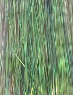 Dyed Pearl Flashabou 21 Dyed Pearl Flashabou -Fishing Sales Shop dyed pearl flashabou olive 29222095781951 5000x