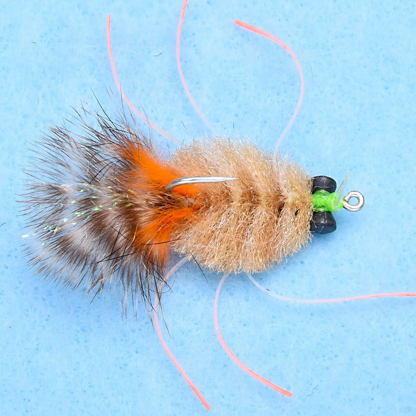 EP Crab 4 EP Crab - Image 2