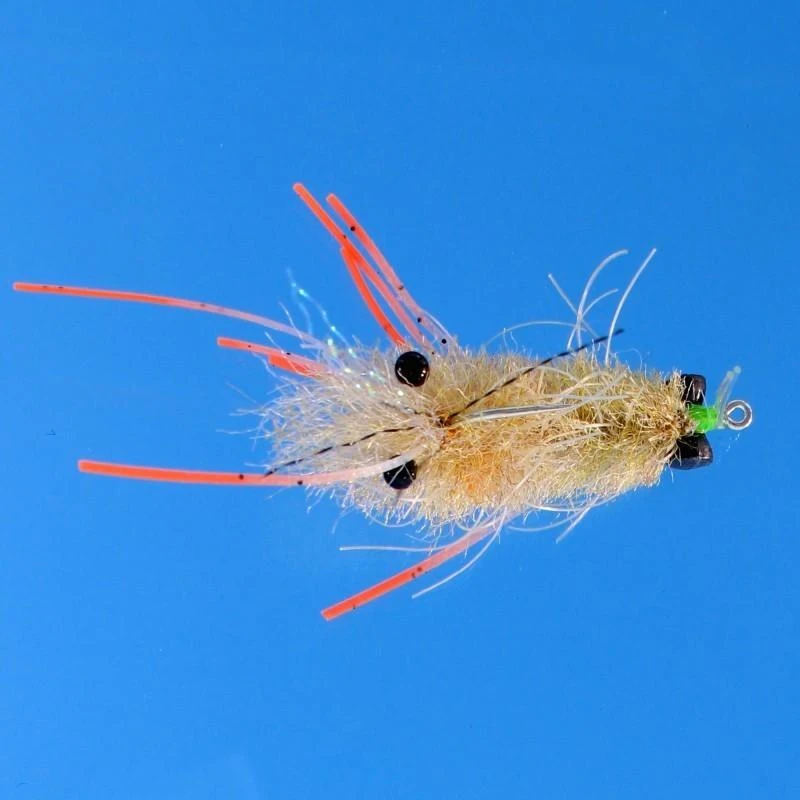 EP Mantis Shrimp Tan #1 3 EP Mantis Shrimp Tan #1