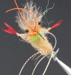 Ep Scampi 532 Tan #2