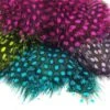 Nature's Spirit Fish Hunter Jumbo Guinea Feathers -Fishing Sales Shop fish hunter jumbo guinea 13497841221695 5000x