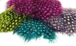 Nature's Spirit Fish Hunter Jumbo Guinea Feathers