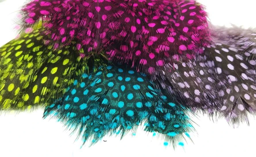 Nature's Spirit Fish Hunter Jumbo Guinea Feathers 3 Nature's Spirit Fish Hunter Jumbo Guinea Feathers