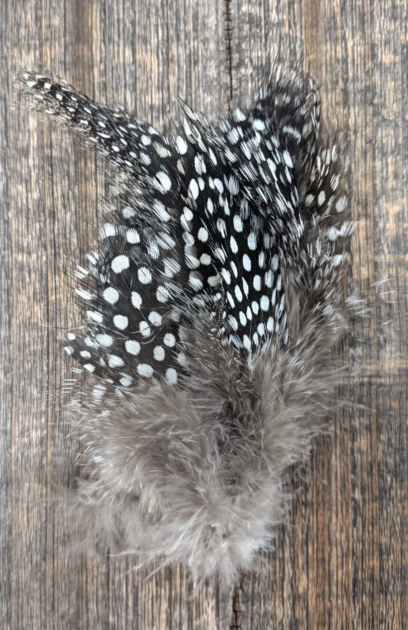 Nature's Spirit Fish Hunter Jumbo Guinea Feathers 4 Nature's Spirit Fish Hunter Jumbo Guinea Feathers - Image 2