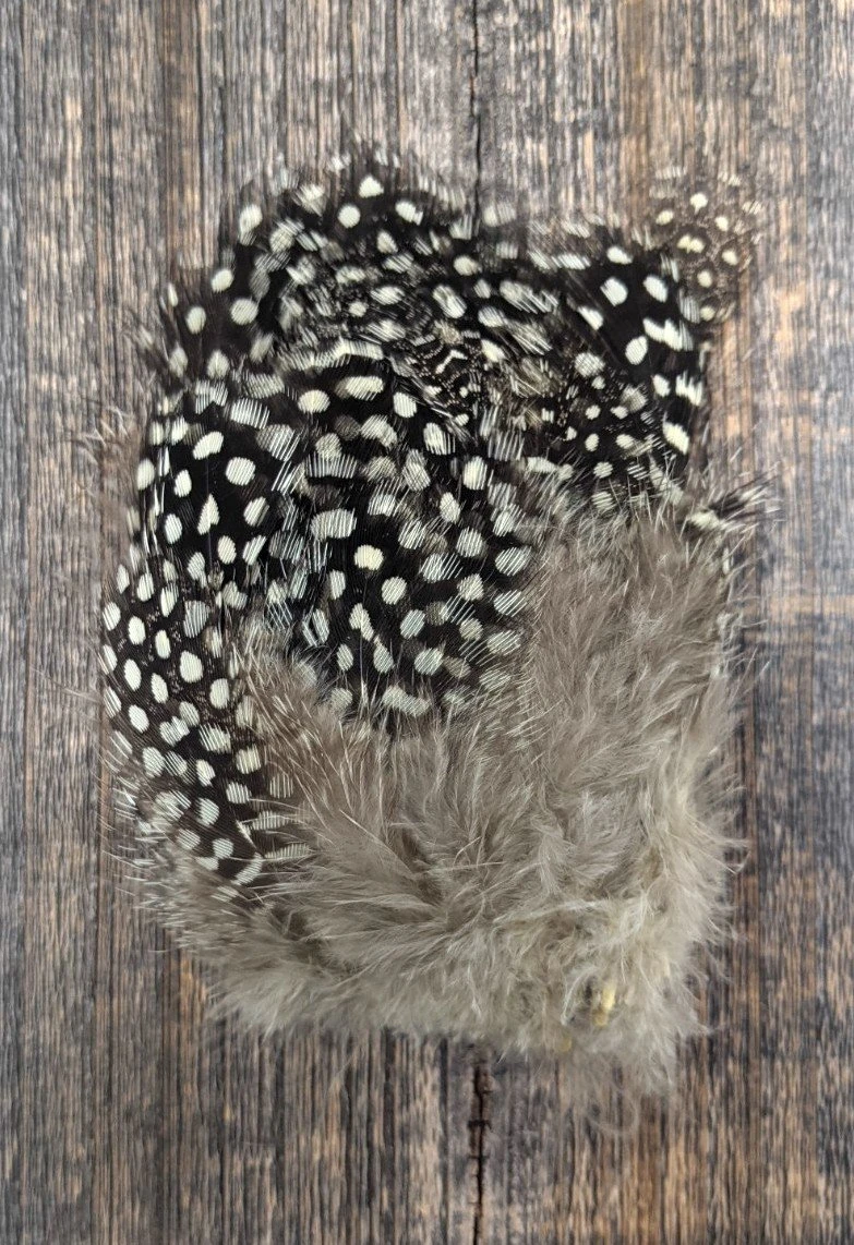 Nature's Spirit Fish Hunter Jumbo Guinea Feathers 18 Nature's Spirit Fish Hunter Jumbo Guinea Feathers - Image 16