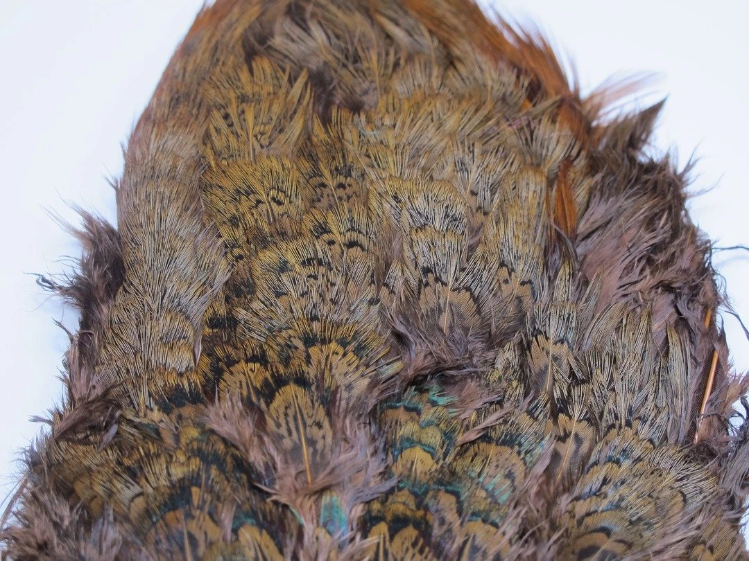 Fish Hunter Ringneck Pheasant Rump Patch 6 Fish Hunter Ringneck Pheasant Rump Patch - Image 4