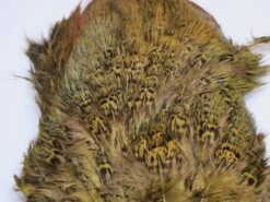 Fish Hunter Ringneck Pheasant Rump Patch 25 Fish Hunter Ringneck Pheasant Rump Patch -Fishing Sales Shop fish hunter ringneck pheasant rump patch dark olive 16954398864 5000x