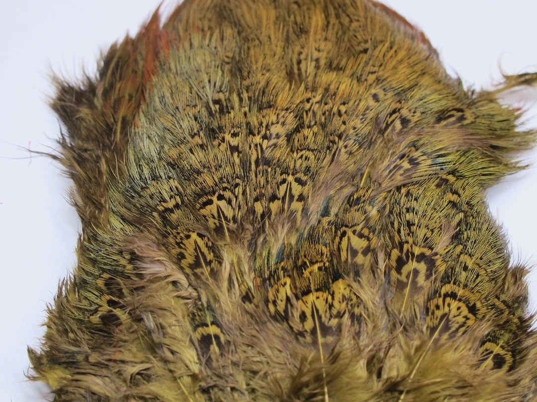 Fish Hunter Ringneck Pheasant Rump Patch 10 Fish Hunter Ringneck Pheasant Rump Patch - Image 8