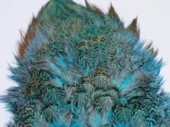 Fish Hunter Ringneck Pheasant Rump Patch 22 Fish Hunter Ringneck Pheasant Rump Patch -Fishing Sales Shop fish hunter ringneck pheasant rump patch fluorescent blue 16954398672 5000x