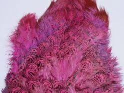 Fish Hunter Ringneck Pheasant Rump Patch 23 Fish Hunter Ringneck Pheasant Rump Patch -Fishing Sales Shop fish hunter ringneck pheasant rump patch fluorescent hot pink 16954398736 5000x