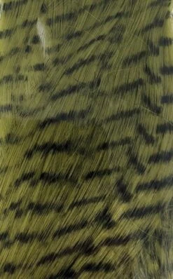 Grizzly Hair 16" -Fishing Sales Shop grizzly hair 16 olive 28640556056639 5000x