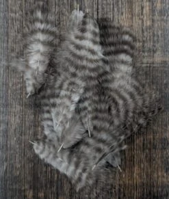 Hareline Grizzly Mini Marabou 18 Hareline Grizzly Mini Marabou -Fishing Sales Shop hareline grizzly mini marabou nat grizzly 15921483546687 5000x