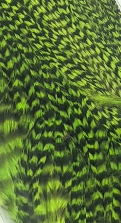 Hareline Half Grizzly Saddle -Fishing Sales Shop hareline half grizzly saddle chartruese 29360545923135 5000x