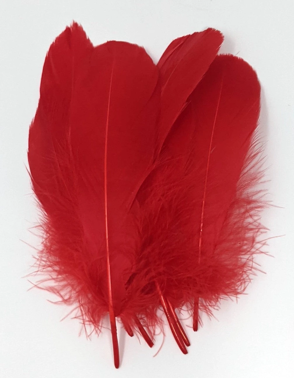 Hareline Select Goose Shoulder 11 Hareline Select Goose Shoulder - Image 9