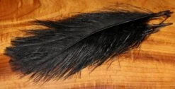 Hareline UV2 Raptor Hackle - Short Rhea Quills -Fishing Sales Shop hareline uv2 raptor hackle short rhea quills 11 fl black 4717507838015 5000x