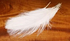 Hareline UV2 Raptor Hackle - Short Rhea Quills -Fishing Sales Shop hareline uv2 raptor hackle short rhea quills 141 fl white 4717507510335 5000x