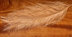 Hareline UV2 Raptor Hackle - Short Rhea Quills -Fishing Sales Shop hareline uv2 raptor hackle short rhea quills 342 fl shrimp tan 4717507575871 5000x