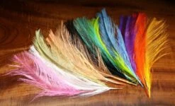 Hareline UV2 Raptor Hackle - Short Rhea Quills