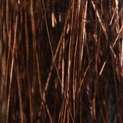 Larva Lace Saltwater Angel Hair -Fishing Sales Shop larva lace saltwater angel hair bronze 14341196120127 5000x