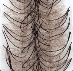 Lively Legs Crustacean Brush 1/2 Inch -Fishing Sales Shop lively legs crustacean brush 1 2 inch mullet brown and brown 29247248039999 5000x