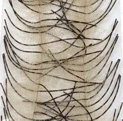 Lively Legs Crustacean Brush 1/2 Inch -Fishing Sales Shop lively legs crustacean brush 1 2 inch tan and brown gold bar 29247249907775 5000x