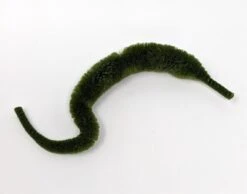 Micro Mini Mangums Dragon Tail 4" -Fishing Sales Shop micro mini mangums dragon tail 4 olive 28054160670783 5000x