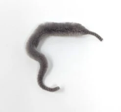 Micro Mini Mangums Dragon Tail 4" -Fishing Sales Shop micro mini mangums dragon tail 4 silver gray 28054159327295 5000x