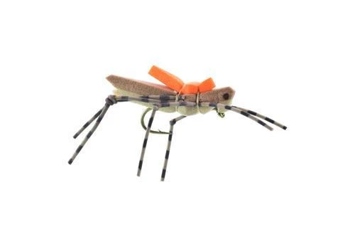 Morrish Hopper 5 Morrish Hopper - Image 3