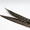 Nature's Spirit Lady Amherst Pheasant Side Tails - 12" To 16" Pair Natural 1 Nature's Spirit Lady Amherst Pheasant Side Tails - 12" To 16" Pair Natural -Fishing Sales Shop nature s spirit lady amherst pheasant side tails 12 to 16 pair natural 17336118800 5000x