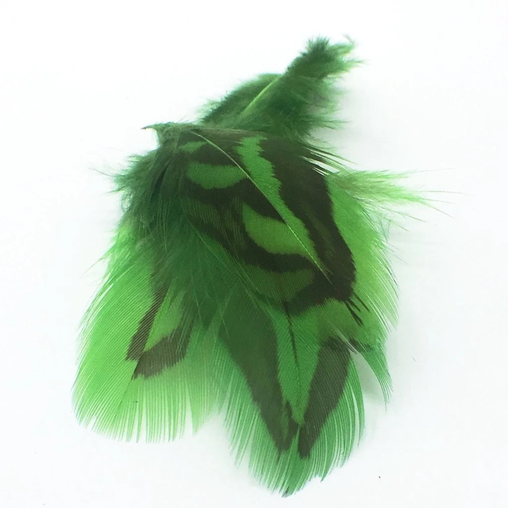 Nature's Spirit Premium Sharptail Grouse 3 Nature's Spirit Premium Sharptail Grouse