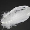 Nature's Spirit Select Goose Shoulder - 6 Extra Large Select Feathers -Fishing Sales Shop nature s spirit select goose shoulder 6 extra large select feathers white 18372086288 5000x