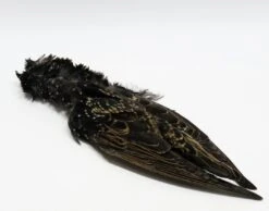 Nature's Spirit Select Starling Skin