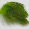 Nature's Spirit Teal Barred Flank - Select Feathers -Fishing Sales Shop nature s spirit teal barred flank select feathers 13522313674815 5000x