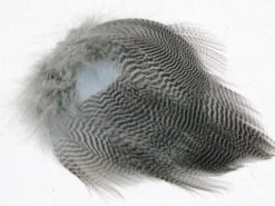 Nature's Spirit Teal Barred Flank - Select Feathers -Fishing Sales Shop nature s spirit teal barred flank select feathers 13522313707583 5000x