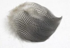 Nature's Spirit Teal Barred Flank - Select Feathers -Fishing Sales Shop nature s spirit teal barred flank select feathers 13522313740351 5000x