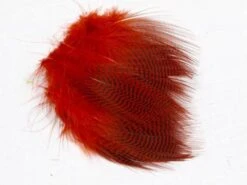 Nature's Spirit Teal Barred Flank - Select Feathers -Fishing Sales Shop nature s spirit teal barred flank select feathers 13522313838655 5000x