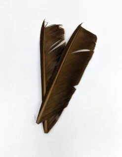 Nature's Spirit Turkey Biot Quill Pieces -Fishing Sales Shop nature s spirit turkey biot quill pieces brown olive 28959973638207 5000x