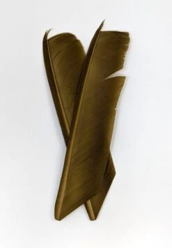 Nature's Spirit Turkey Biot Quill Pieces -Fishing Sales Shop nature s spirit turkey biot quill pieces bwo 28959972294719 5000x