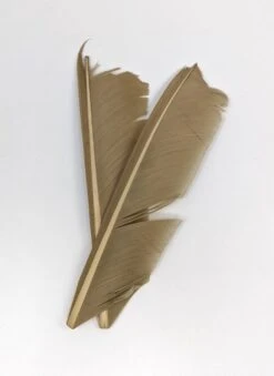 Nature's Spirit Turkey Biot Quill Pieces -Fishing Sales Shop nature s spirit turkey biot quill pieces callibaetis 28959971770431 5000x