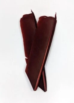 Nature's Spirit Turkey Biot Quill Pieces -Fishing Sales Shop nature s spirit turkey biot quill pieces mahogany 28959974752319 5000x